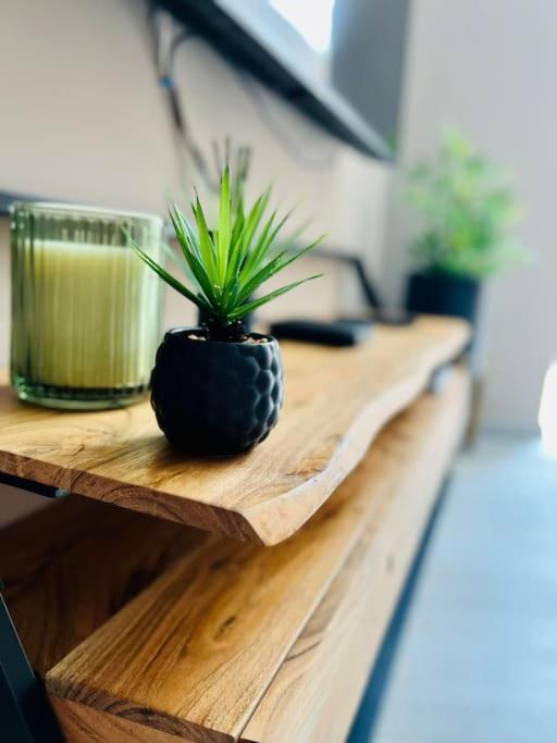 Appartement Tropical リエージュ エクステリア 写真