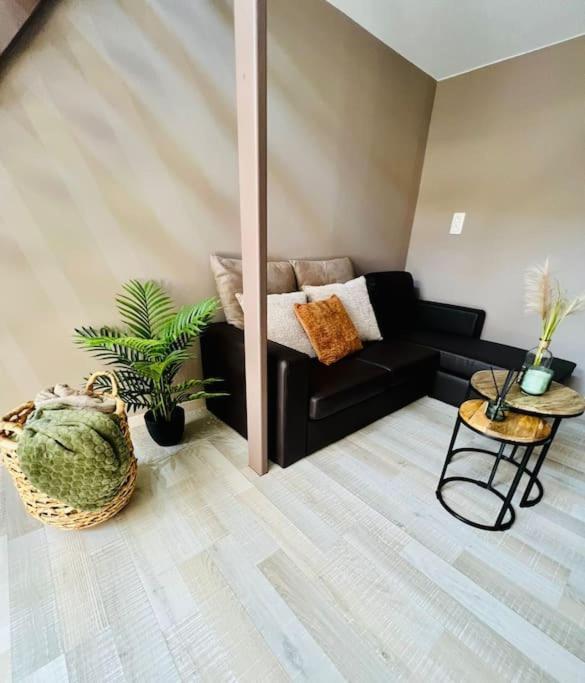 Appartement Tropical リエージュ エクステリア 写真